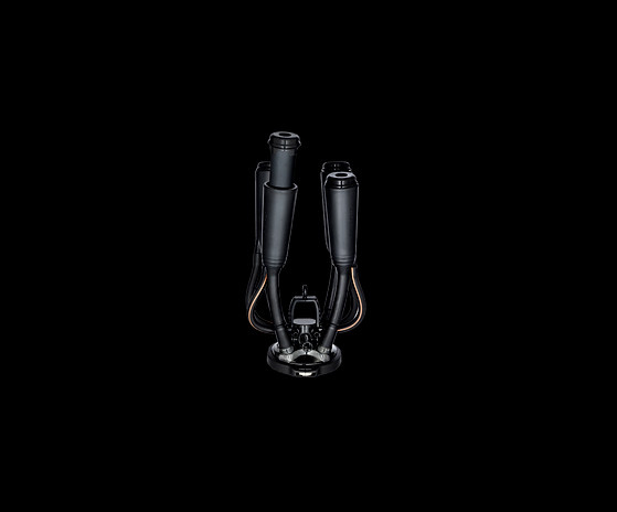 Milking Clusters: Evanza