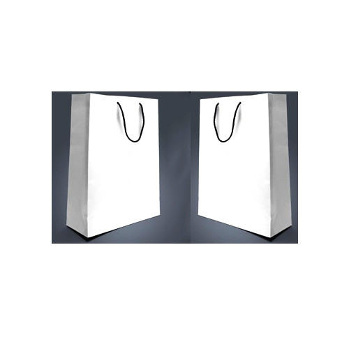 A3 white bags