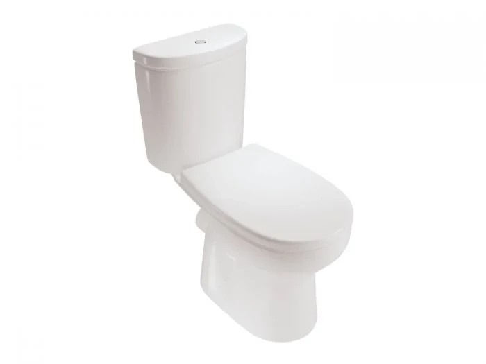 Dual Top Flush Toilet