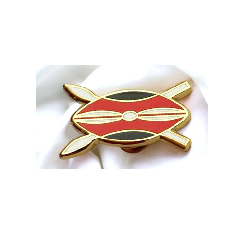 Lapel pins